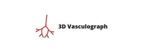 Software for generating vasculature 3D models.