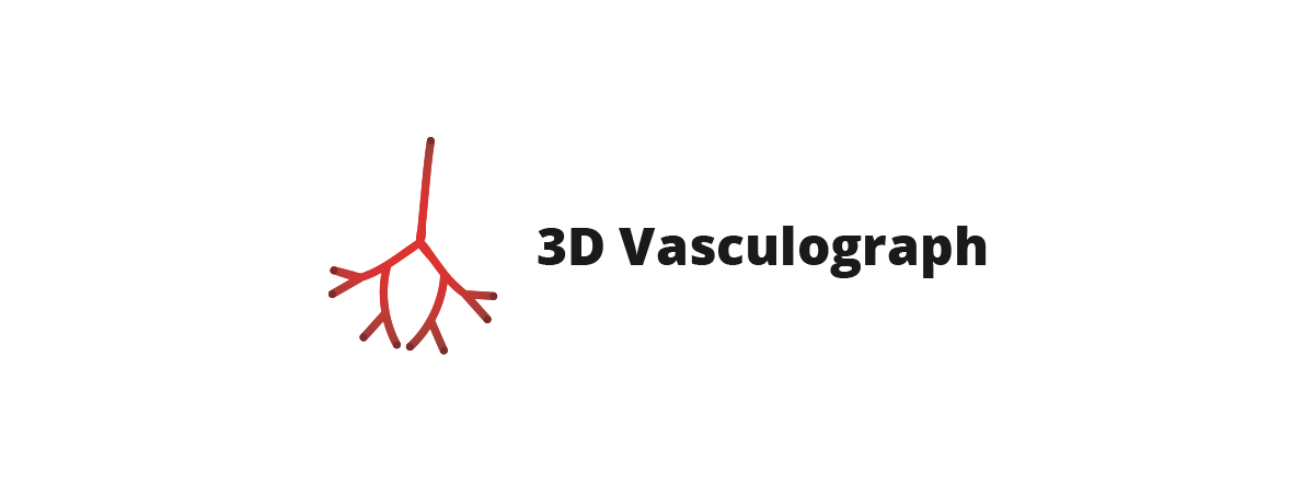 3D Vasculograph Software for generating vasculature 3D models.